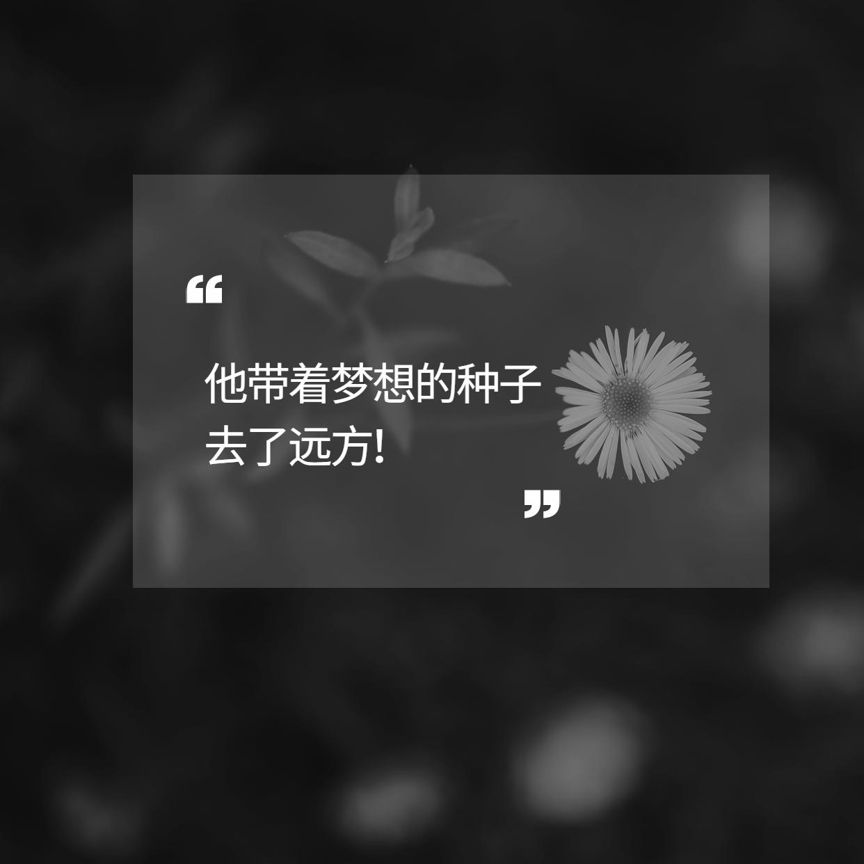 袁隆平用一粒種子的力量改變了世界！